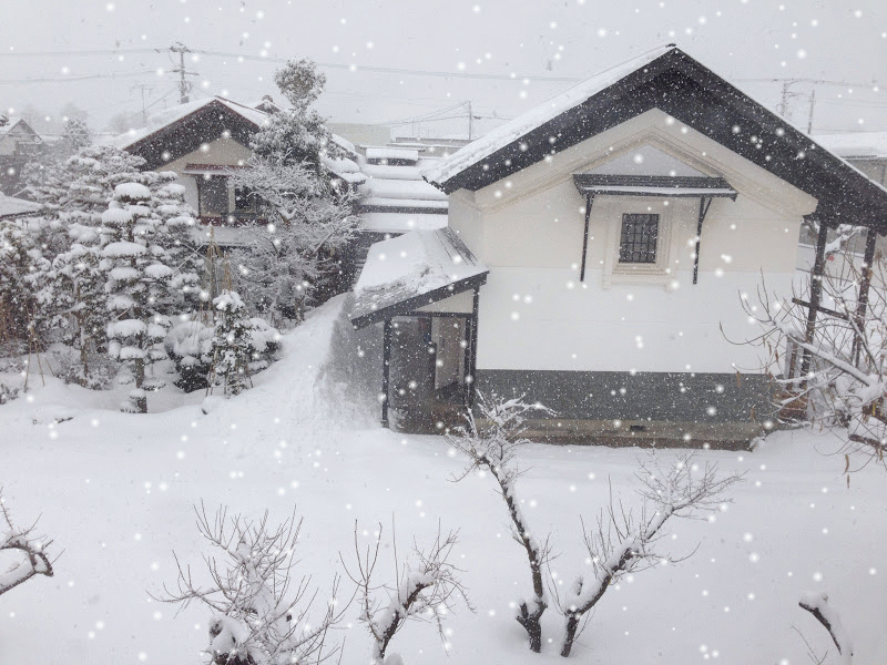 IMG_snow